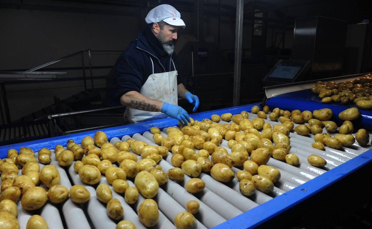 Selección del producto en Patatas Meléndez, Medina del Campo. 