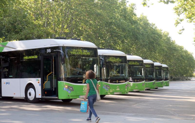 Fotos: Así son los seis nuevos autobuses que circularán por Valladolid