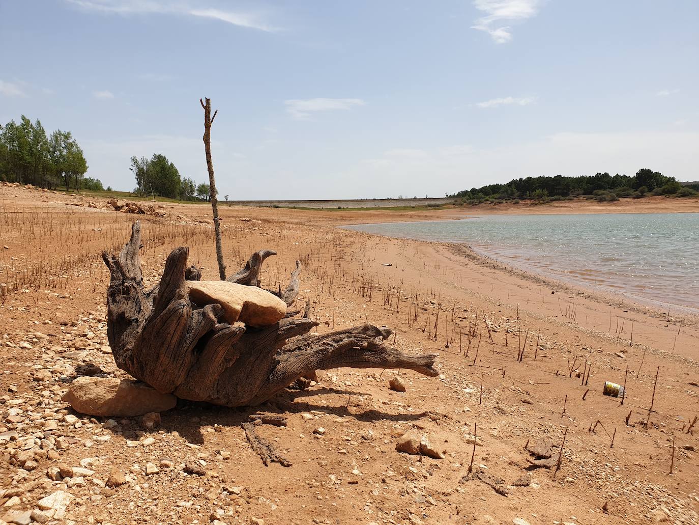 Fotos: La sequía produce estragos en el embalse de Aguilar de Campoo