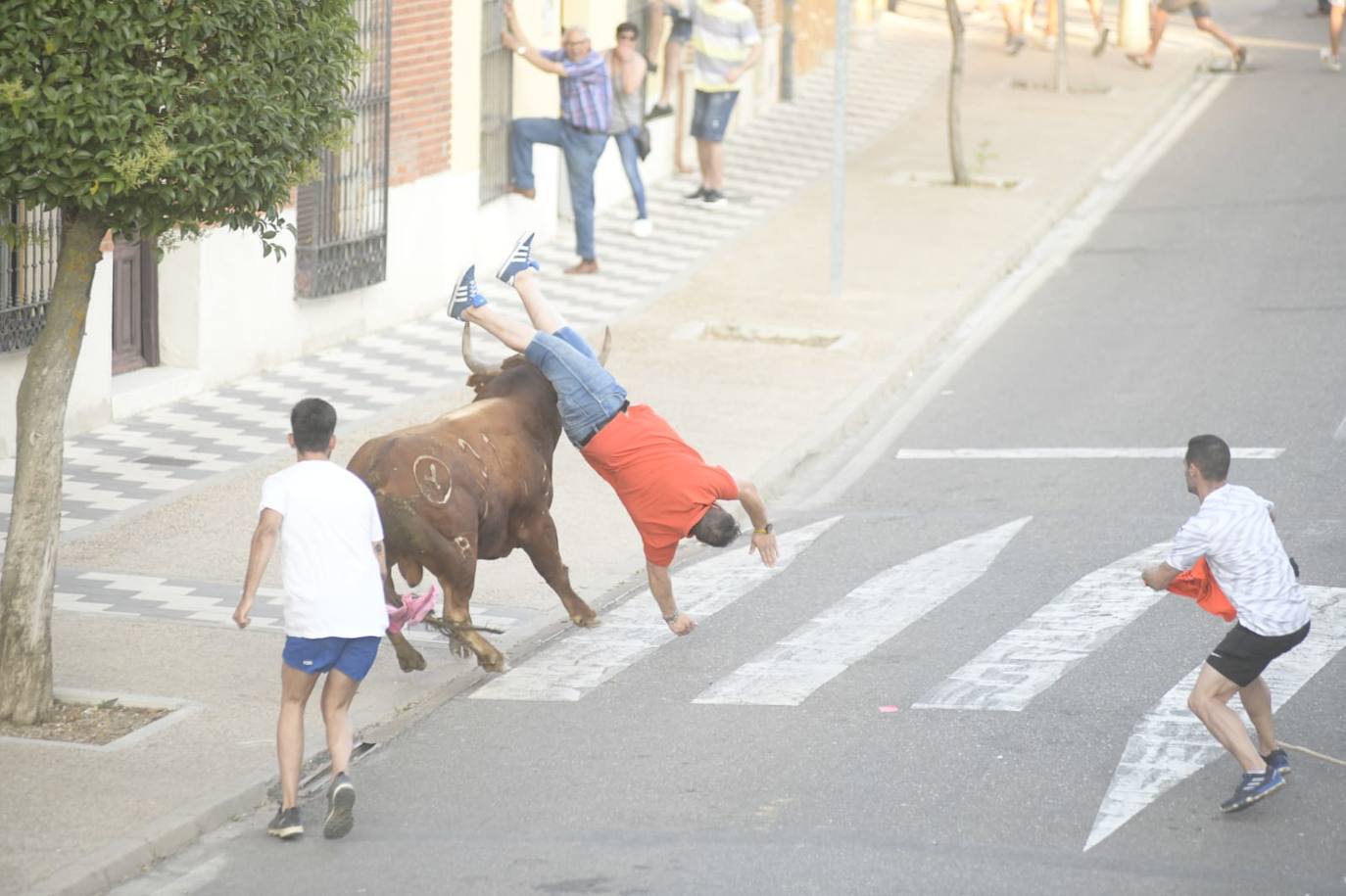 Un vecino de La Seca -F. S. de 45 años- ha resultado herido grave tras ser corneado en el encierro celebrado este sábado