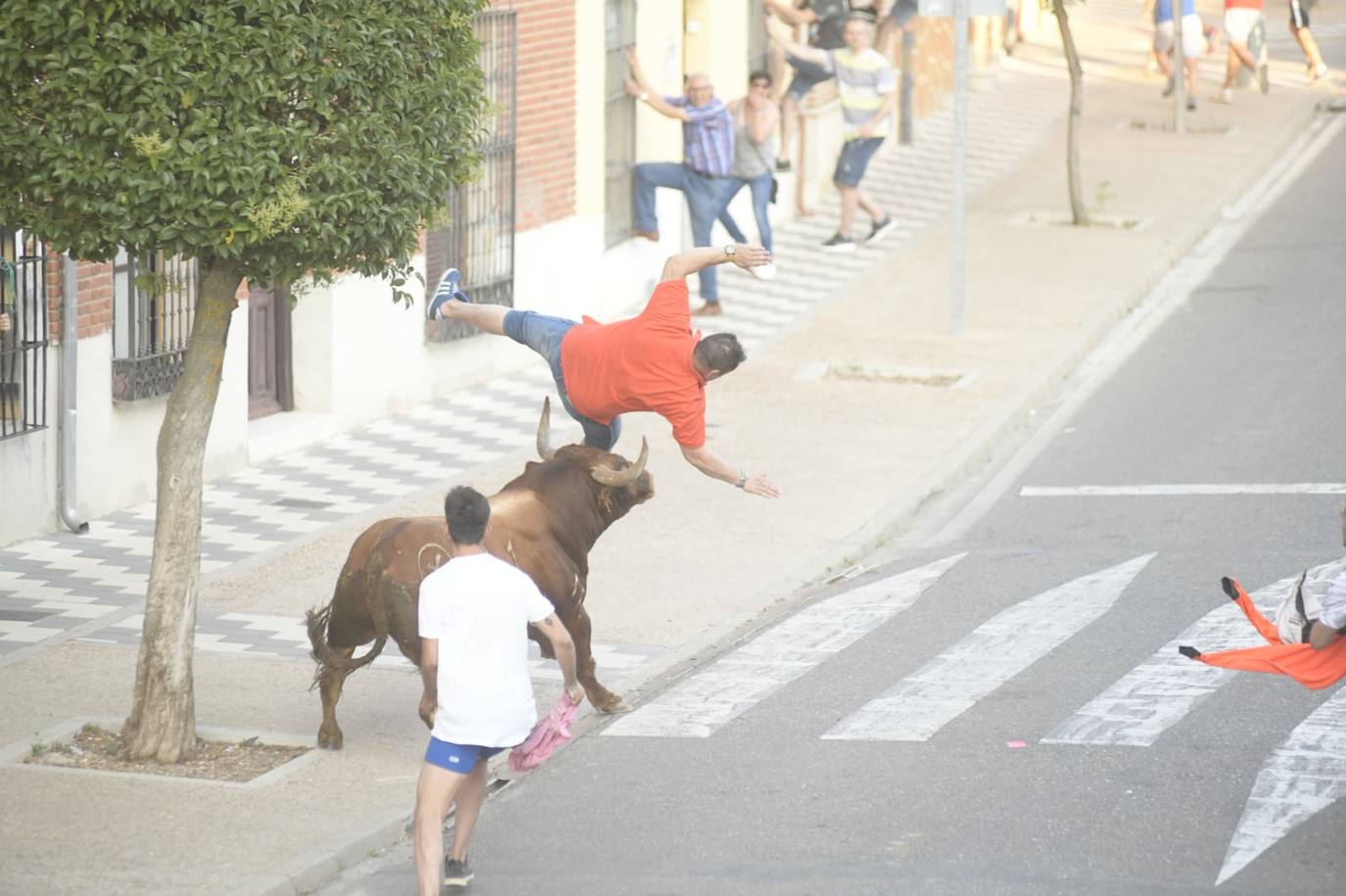 Un vecino de La Seca -F. S. de 45 años- ha resultado herido grave tras ser corneado en el encierro celebrado este sábado