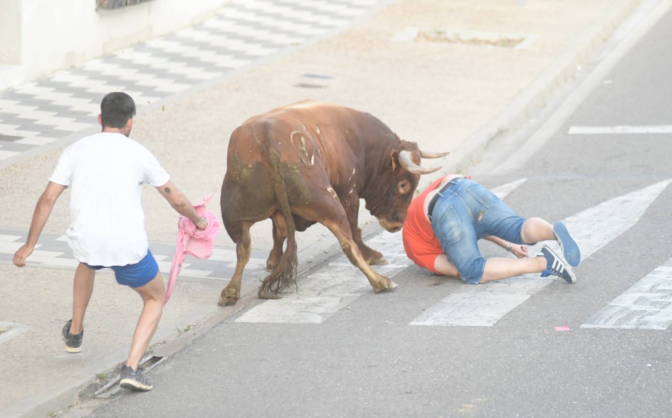 Un vecino de La Seca -F. S. de 45 años- ha resultado herido grave tras ser corneado en el encierro celebrado este sábado