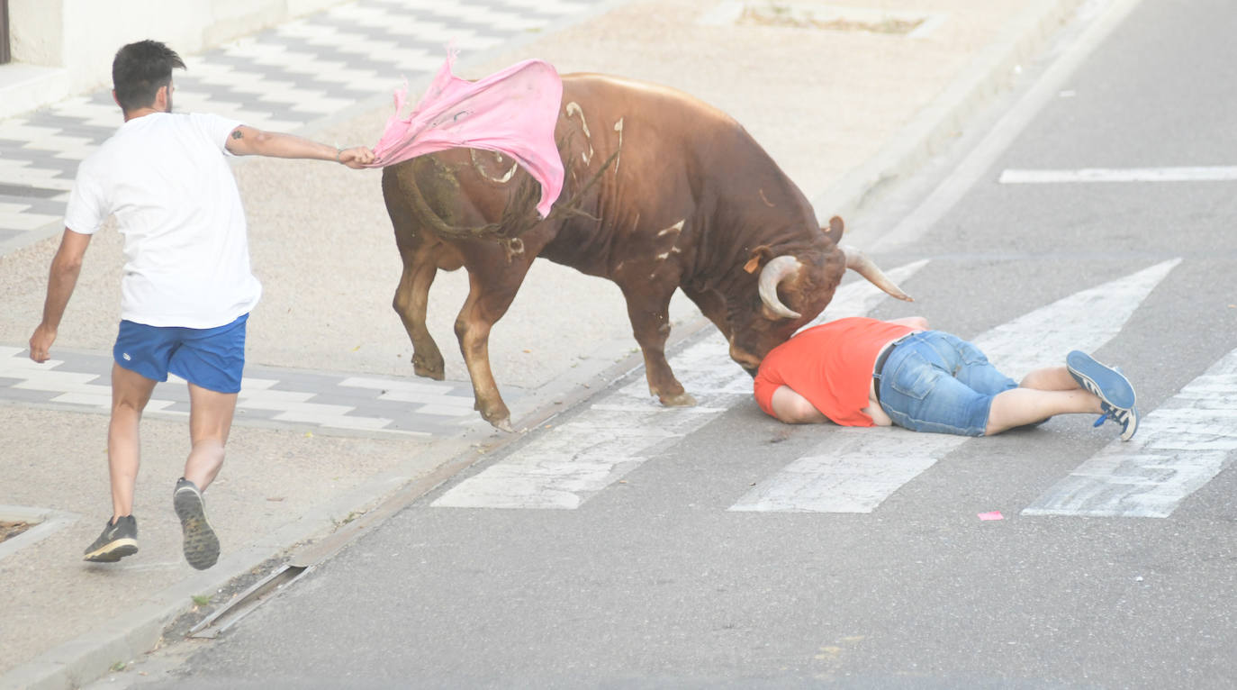 Un vecino de La Seca -F. S. de 45 años- ha resultado herido grave tras ser corneado en el encierro celebrado este sábado