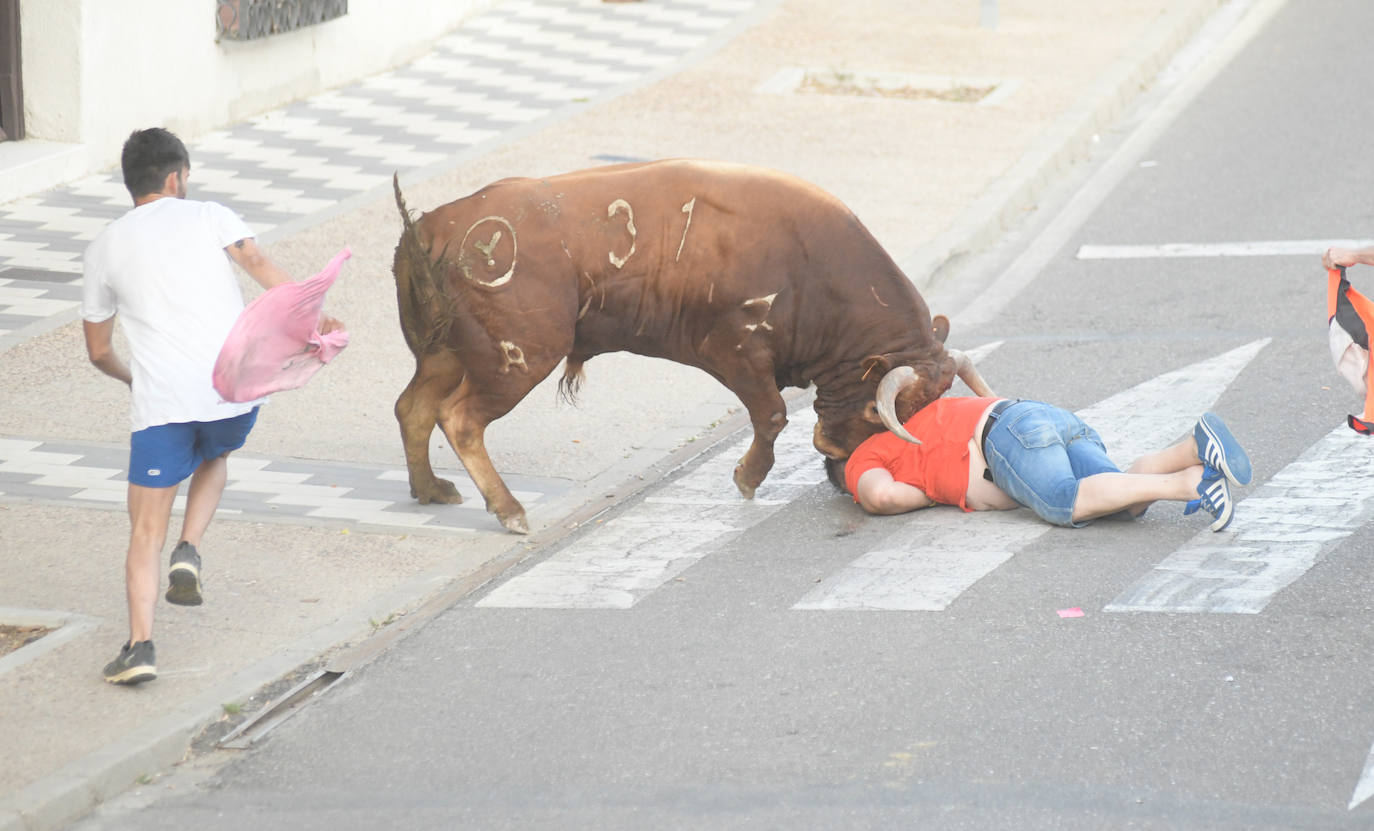 Un vecino de La Seca -F. S. de 45 años- ha resultado herido grave tras ser corneado en el encierro celebrado este sábado