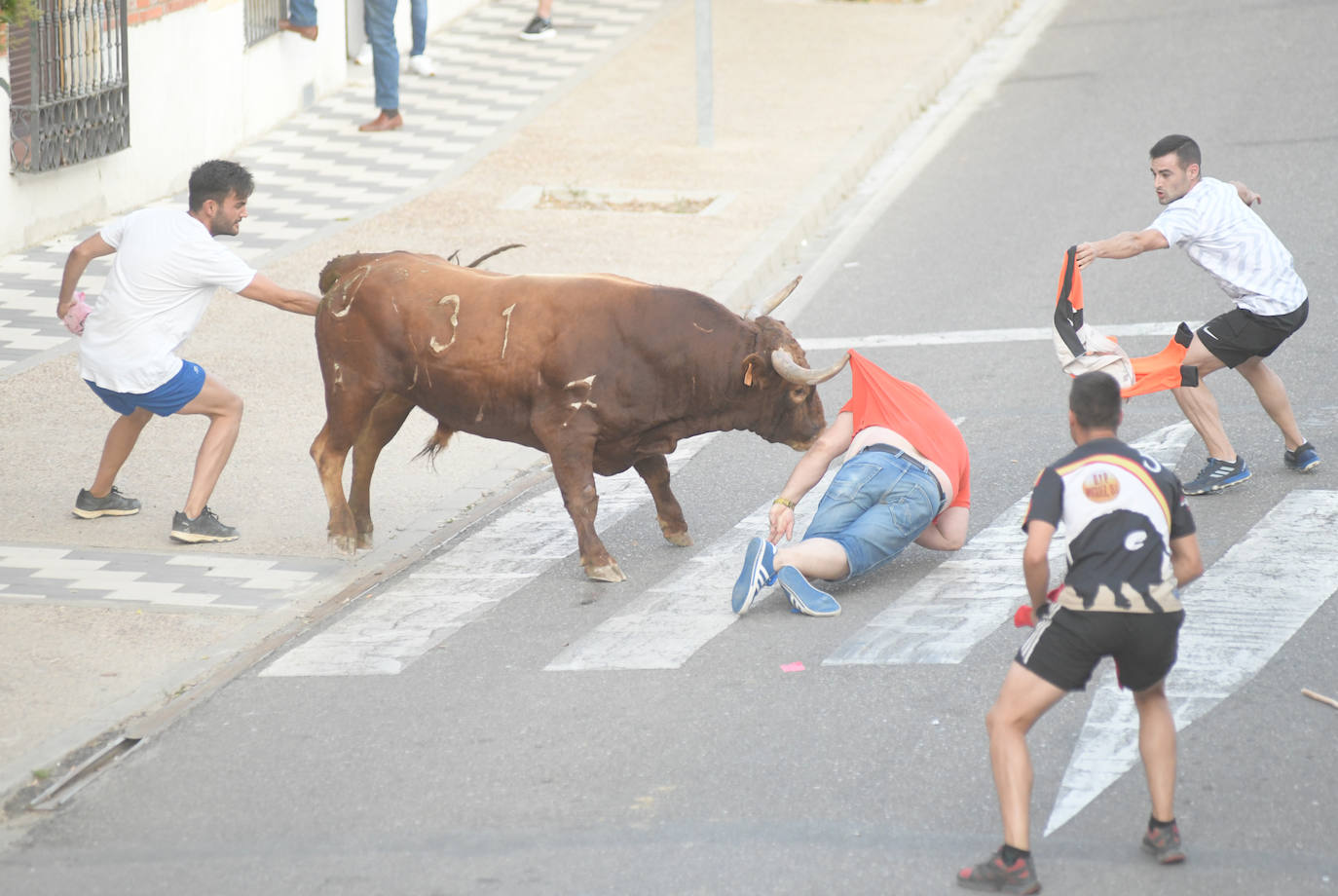 Un vecino de La Seca -F. S. de 45 años- ha resultado herido grave tras ser corneado en el encierro celebrado este sábado