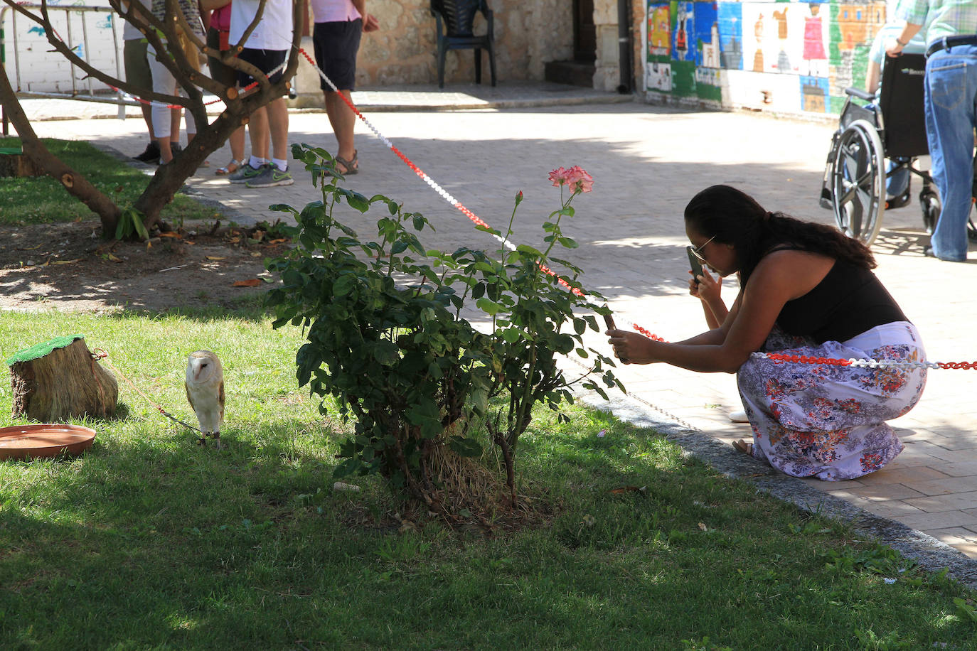 Fotos: XVII Fiesta del Sinodal de Aguilafuente