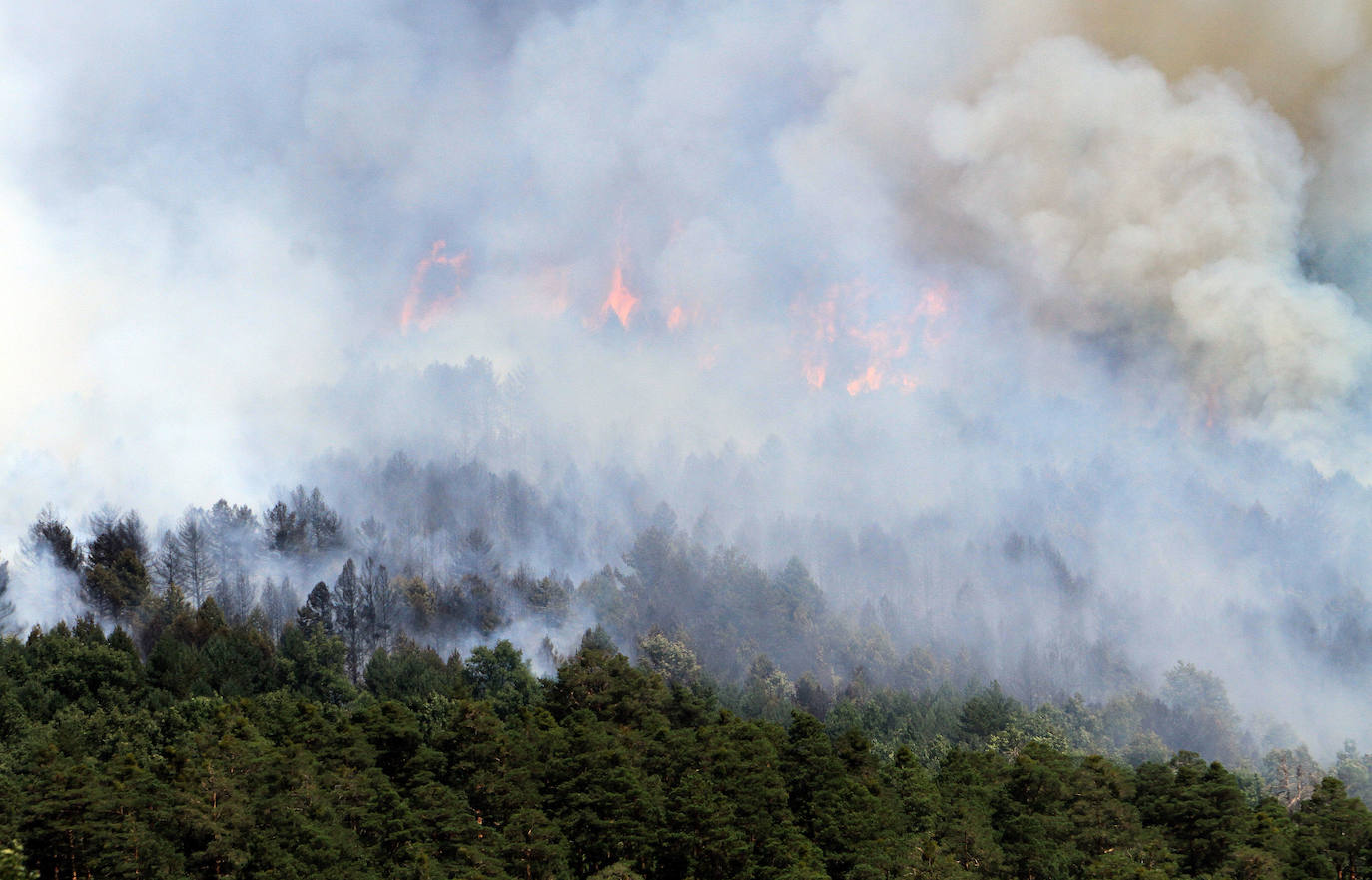 Fotos: LAS LLAMAS DEVORAN GUADARRAMA