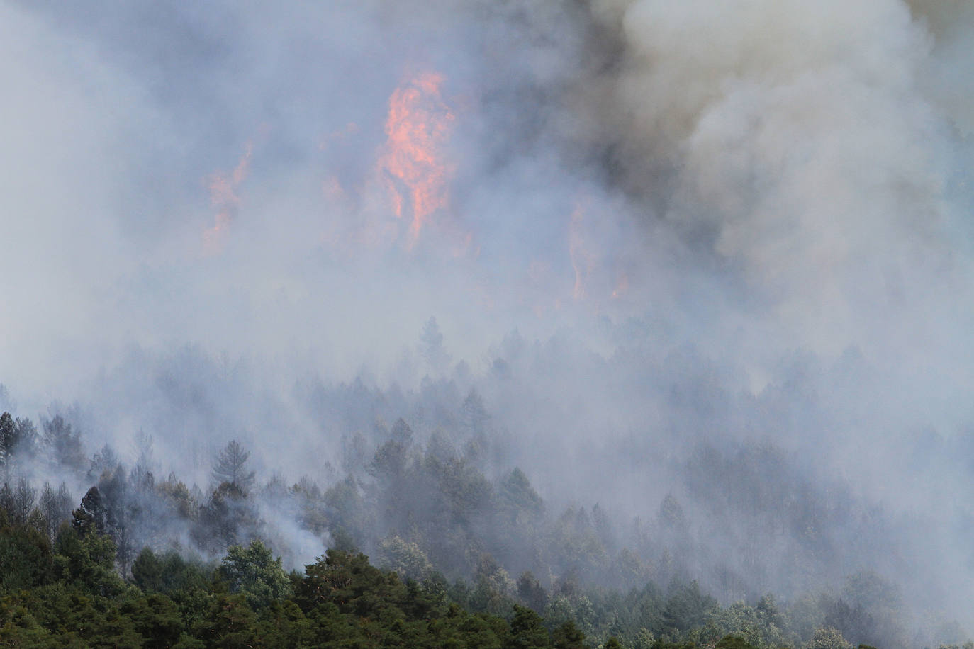 Fotos: LAS LLAMAS DEVORAN GUADARRAMA