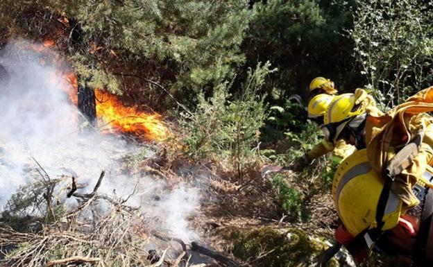 Bomberos forestales realizando tareas de consolidación del perimetro en flanco derecho del incendio de La Granja. 