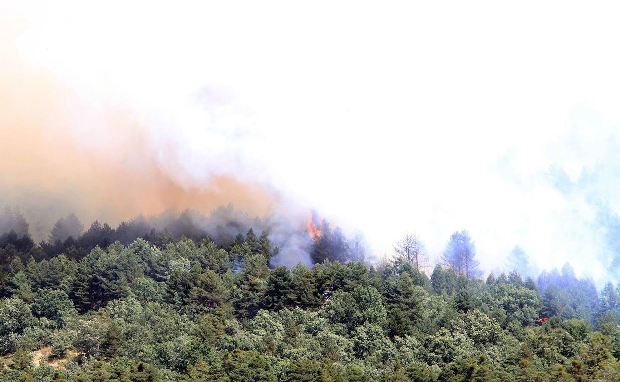 Incendio en Guadarrama. 