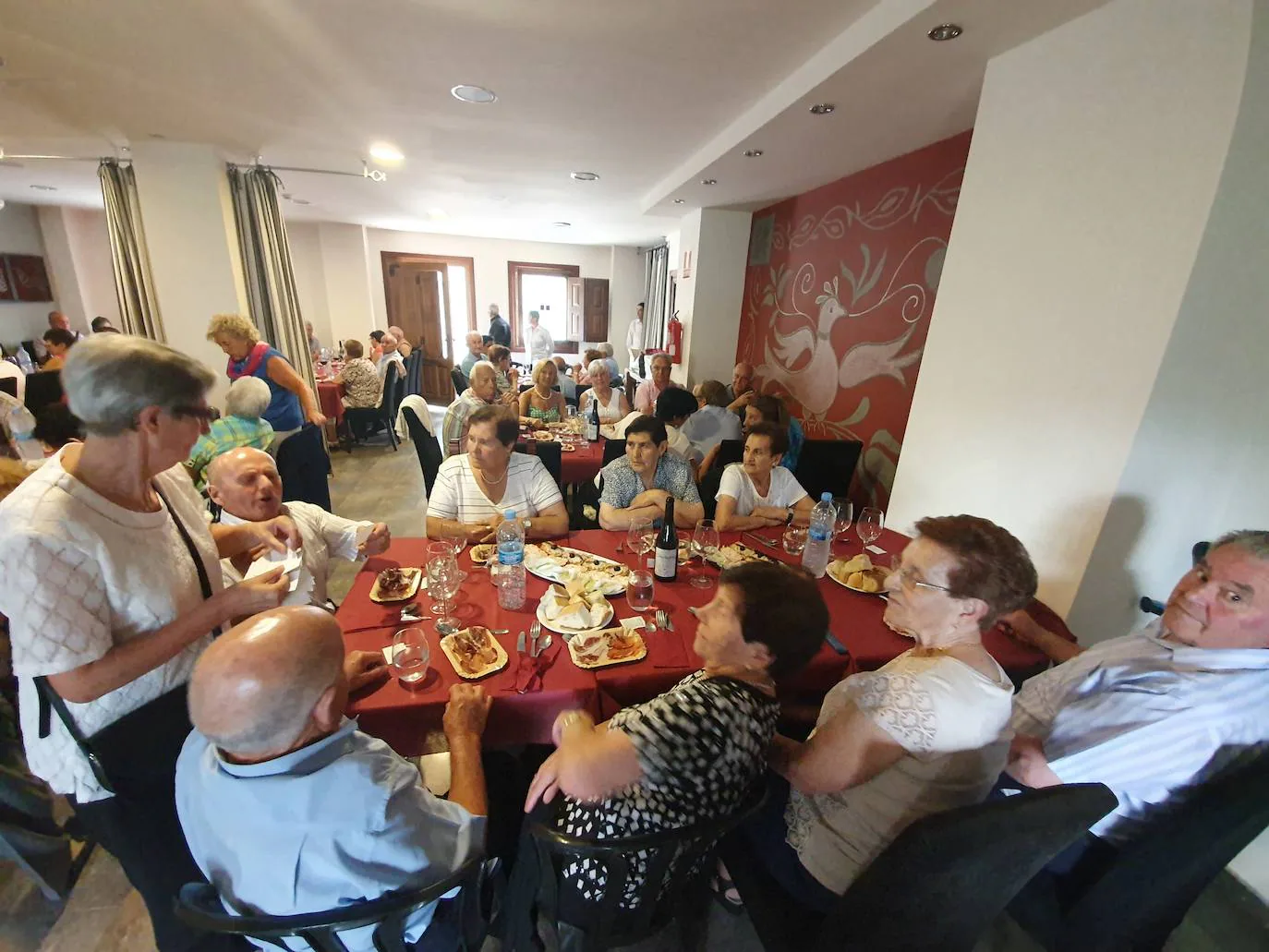 Fotos: Fiesta de mayores de San Martín de Castañar