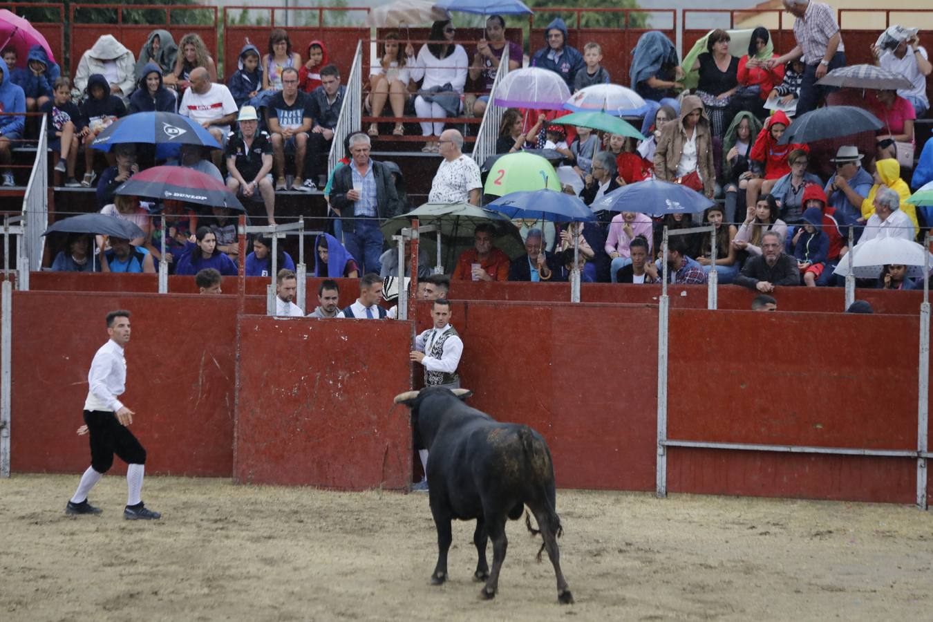 La lluvia obliga a suspender el concurso de cortes y saltos de Campaspero (Valladolid). La organización interrumpió hasta en dos ocasiones el evento, pero decidió cancelarlo tras la segunda ronda.