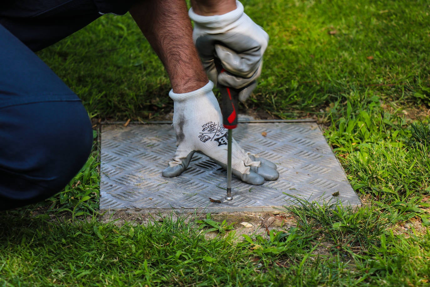 Organizados en equipos de tres miembros con turnos rotativos, debido al desgaste de la actividad, la brigada planifica el despliegue de su campaña en relación a las denuncias recogidas por el teléfono de atención al ciudadano 010 y la observación directa de sus operarios.