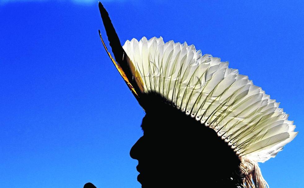 Perfil de un indio brasileño en una protesta contra las políticas del presidente Bolsonaro.