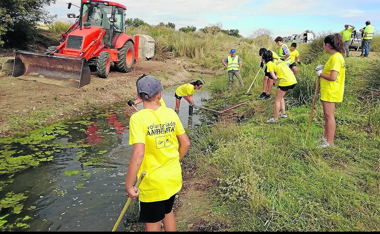 Los voluntarios trabajan en una de las dos fuentes de Mayorga recuperadas. 