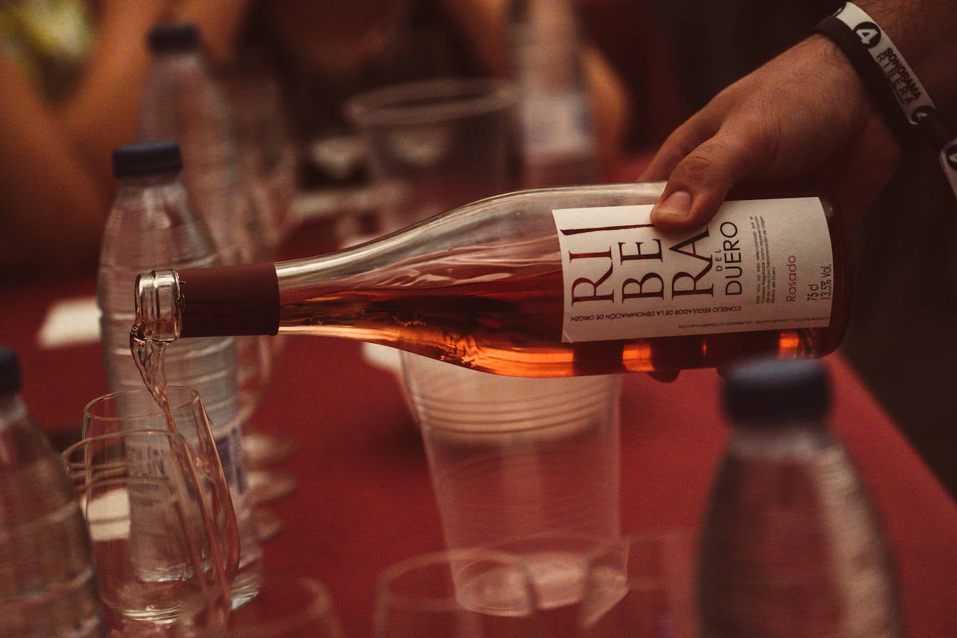 Fotos: La lluvia no puede con la jornada del viernes del Sonorama 2019, 6 de 6