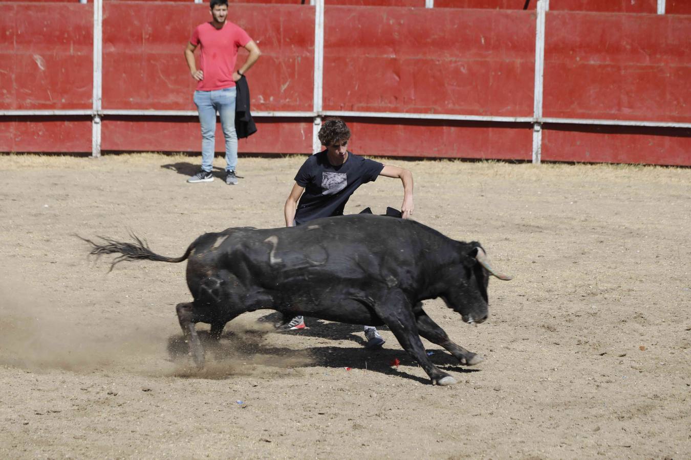 La capea fue entretenida gracias al ganado y a un grupo de cortadores, que no cesaron en su intento hasta lograr unos buenos cortes