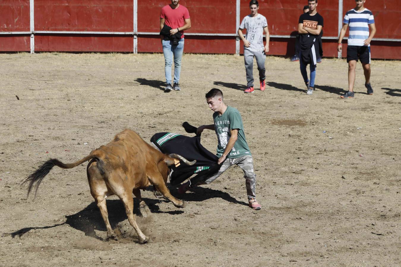 La capea fue entretenida gracias al ganado y a un grupo de cortadores, que no cesaron en su intento hasta lograr unos buenos cortes