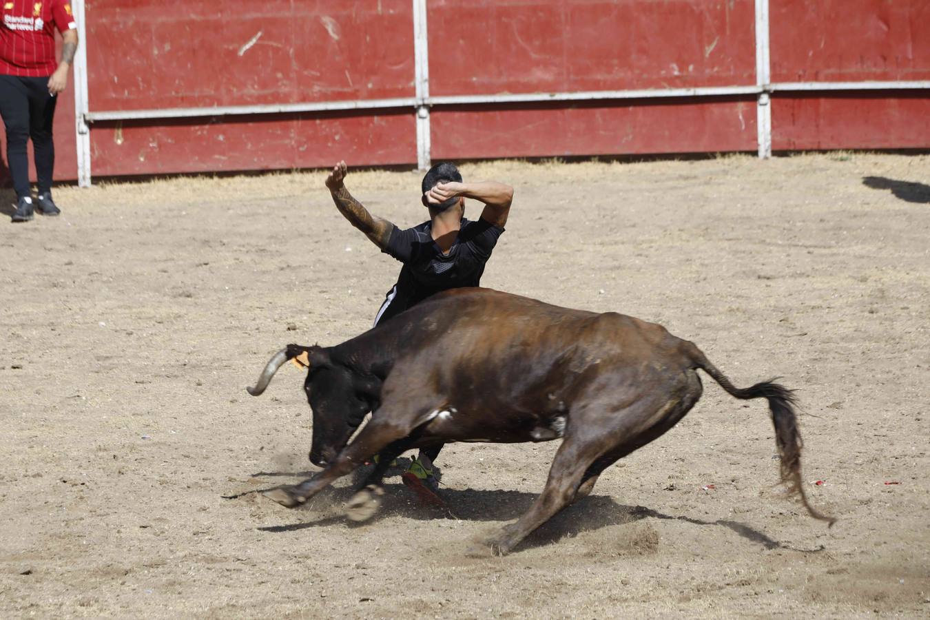 La capea fue entretenida gracias al ganado y a un grupo de cortadores, que no cesaron en su intento hasta lograr unos buenos cortes