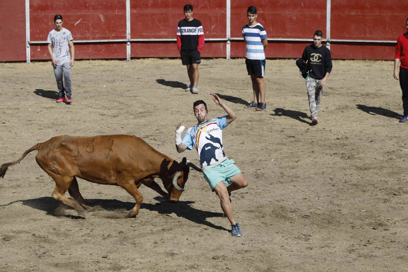 La capea fue entretenida gracias al ganado y a un grupo de cortadores, que no cesaron en su intento hasta lograr unos buenos cortes