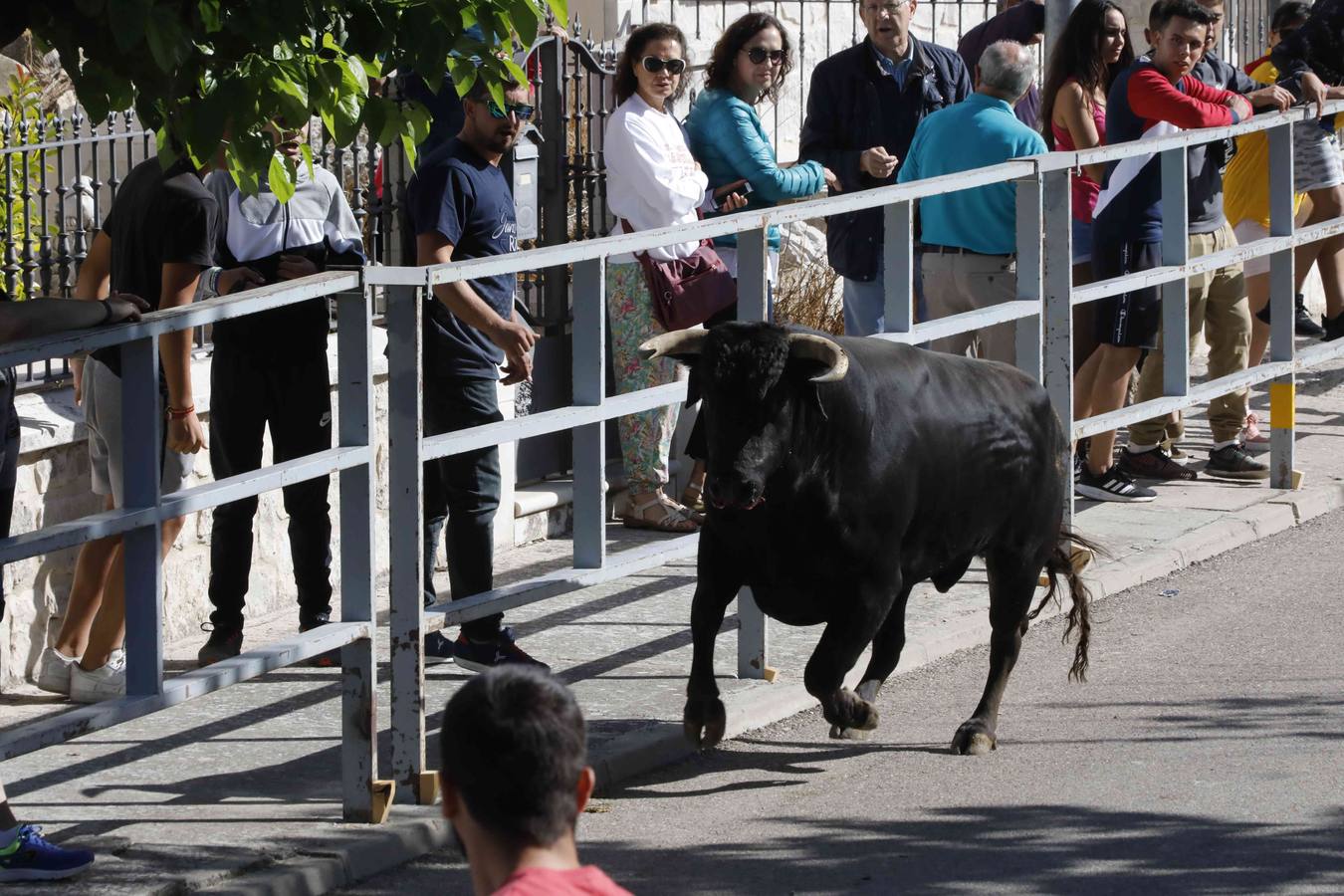 La capea fue entretenida gracias al ganado y a un grupo de cortadores, que no cesaron en su intento hasta lograr unos buenos cortes