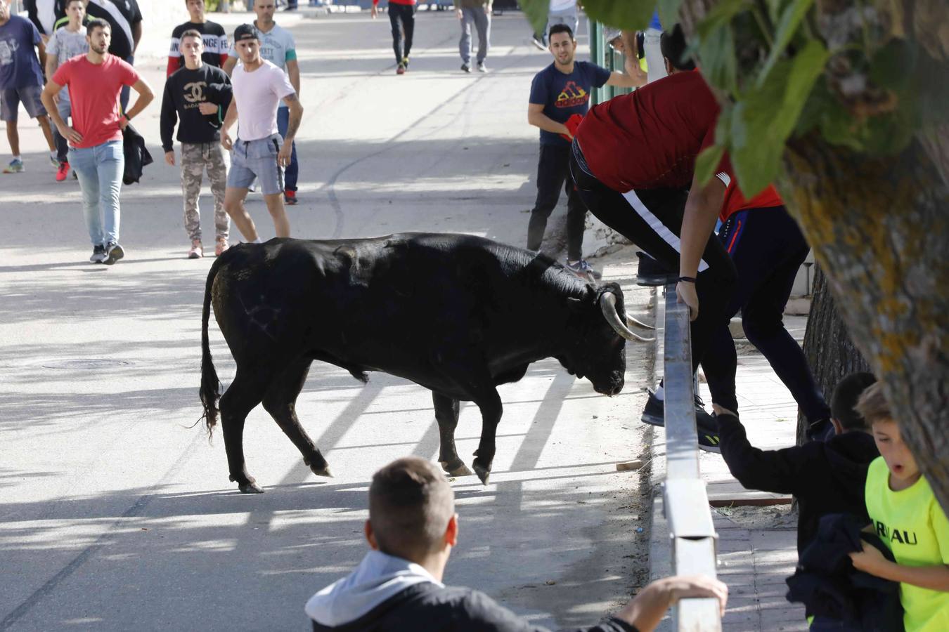 La capea fue entretenida gracias al ganado y a un grupo de cortadores, que no cesaron en su intento hasta lograr unos buenos cortes