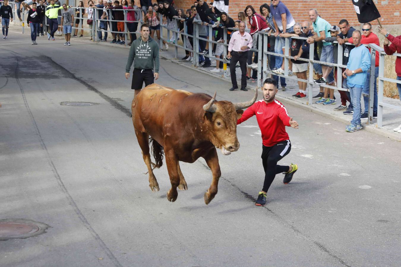 La capea fue entretenida gracias al ganado y a un grupo de cortadores, que no cesaron en su intento hasta lograr unos buenos cortes