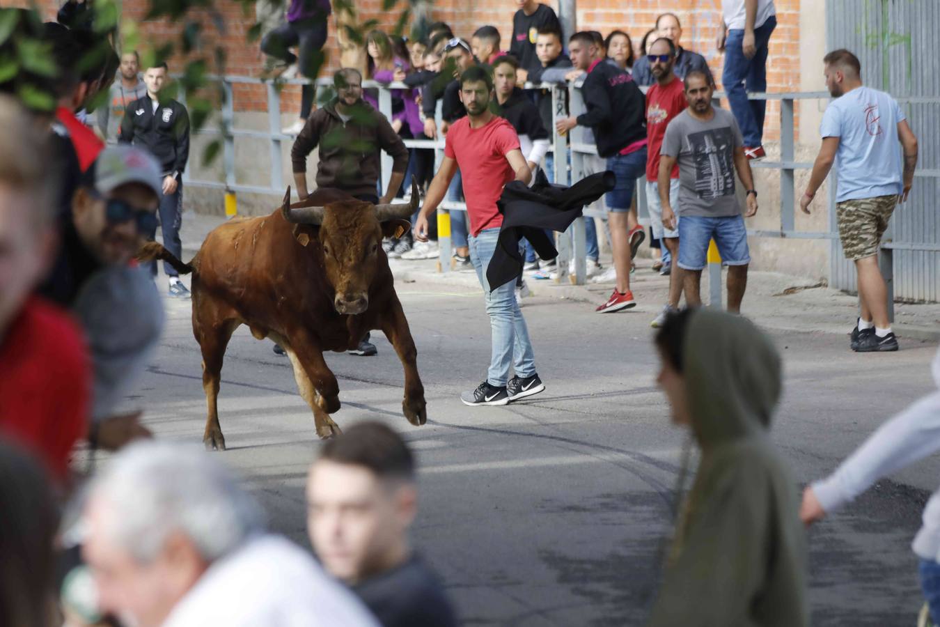 La capea fue entretenida gracias al ganado y a un grupo de cortadores, que no cesaron en su intento hasta lograr unos buenos cortes