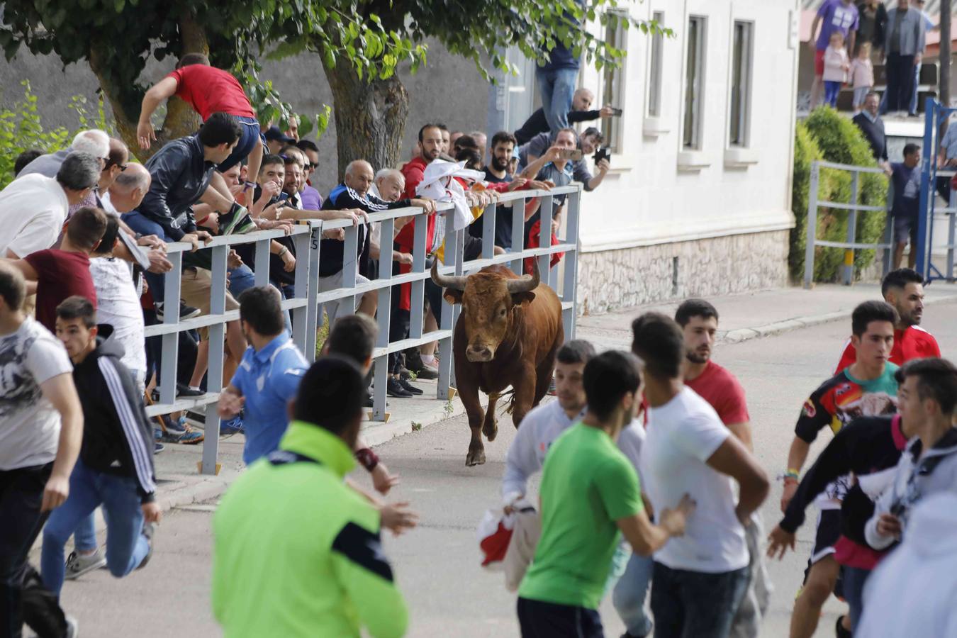 La capea fue entretenida gracias al ganado y a un grupo de cortadores, que no cesaron en su intento hasta lograr unos buenos cortes