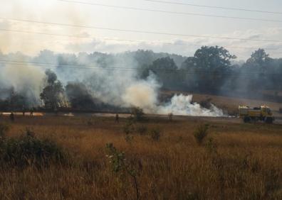 Imagen secundaria 1 - La Junta activa el nivel 2 en un incendio forestal en la N-630 en Sariegos (León)