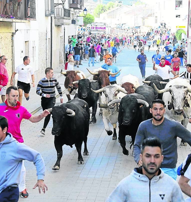 Encierro matutino de las fiestas de Peñafiel, el año pasado. 