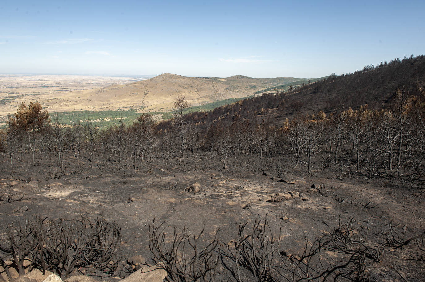 Recorrido por la devastación natural de una parte de la sierra de Guadarrama que ha quedado arrasada por las llamas del incendio que se declaró en La Granja hace nueve días