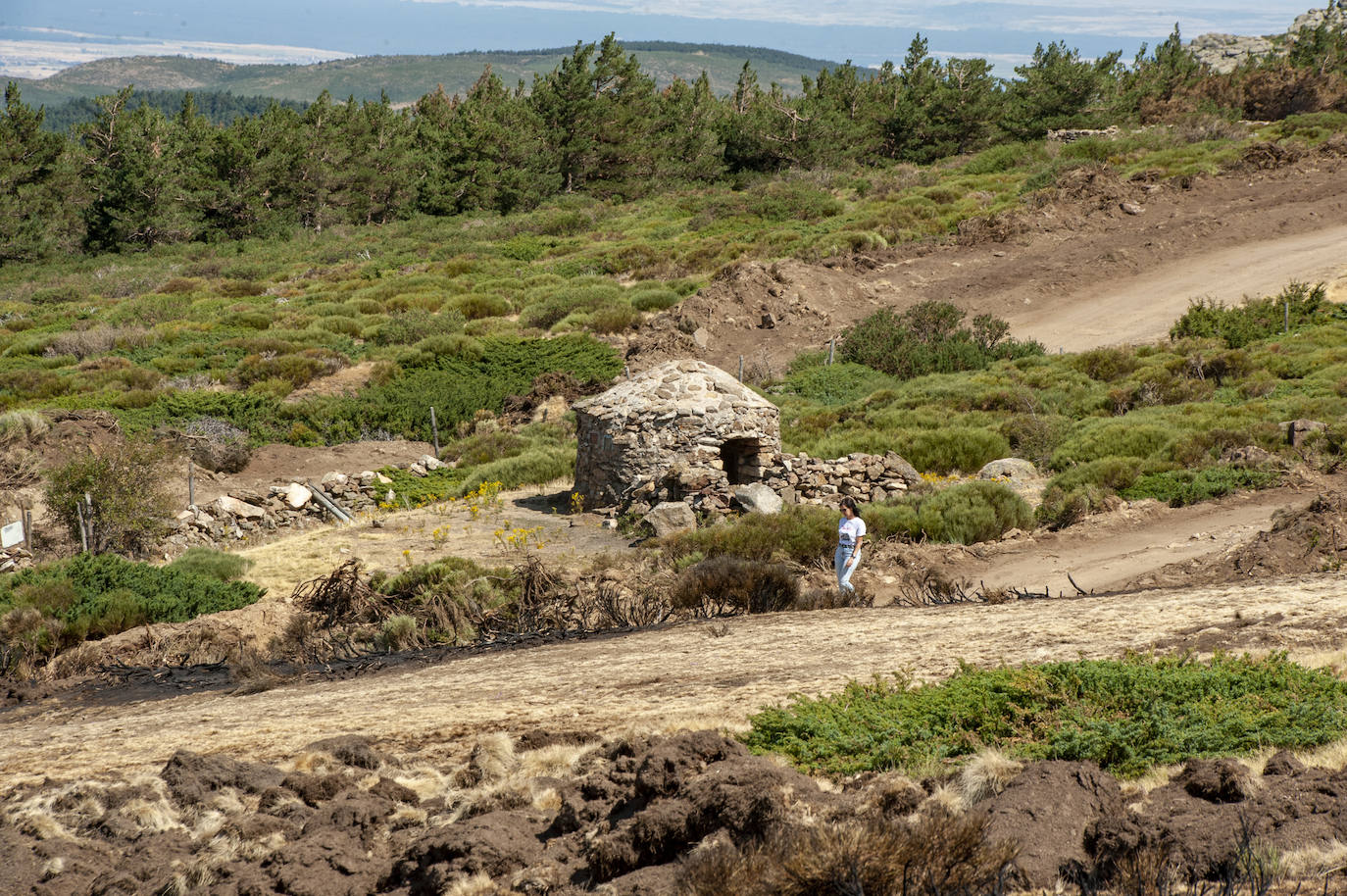 Recorrido por la devastación natural de una parte de la sierra de Guadarrama que ha quedado arrasada por las llamas del incendio que se declaró en La Granja hace nueve días