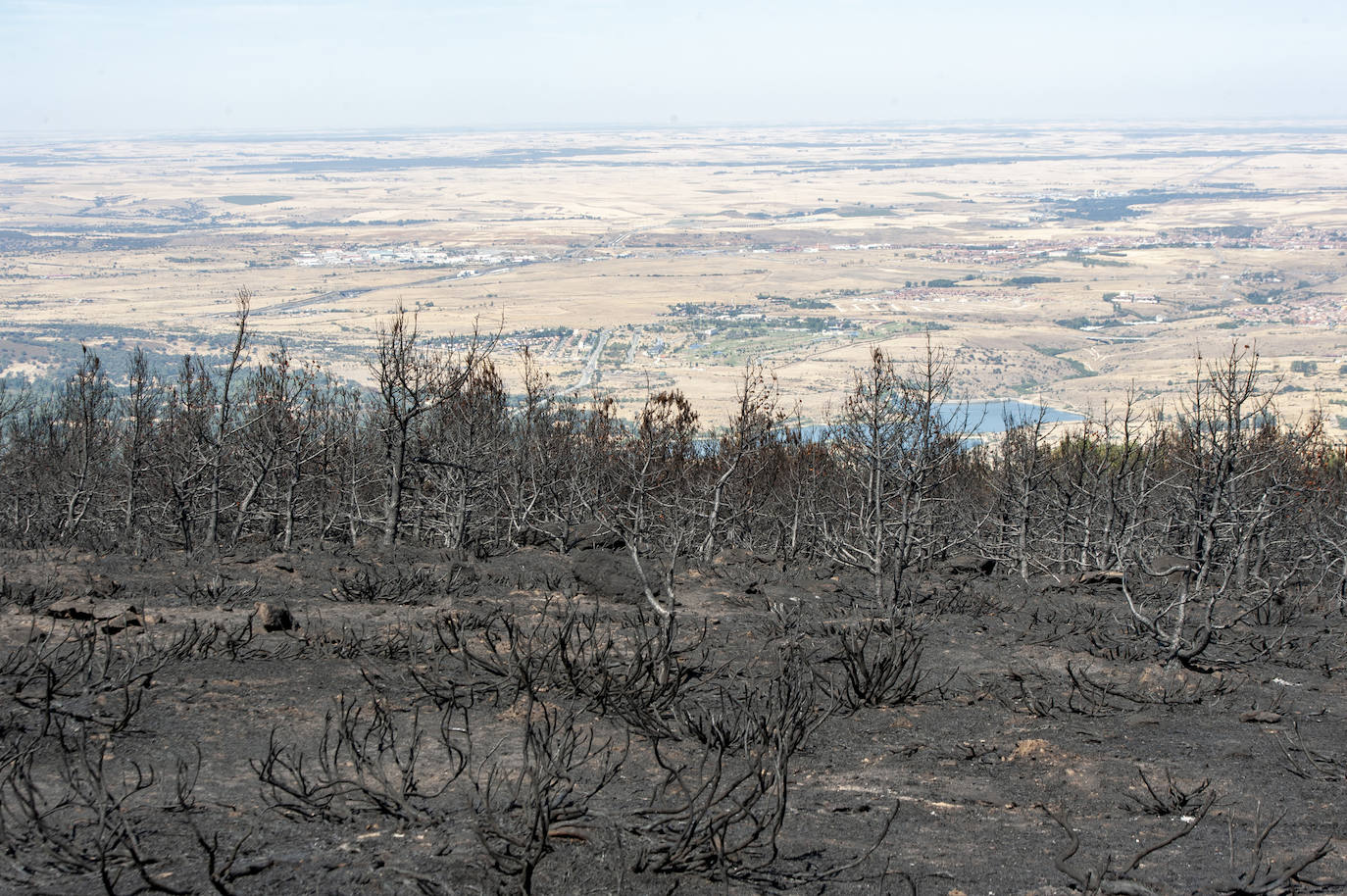 Recorrido por la devastación natural de una parte de la sierra de Guadarrama que ha quedado arrasada por las llamas del incendio que se declaró en La Granja hace nueve días