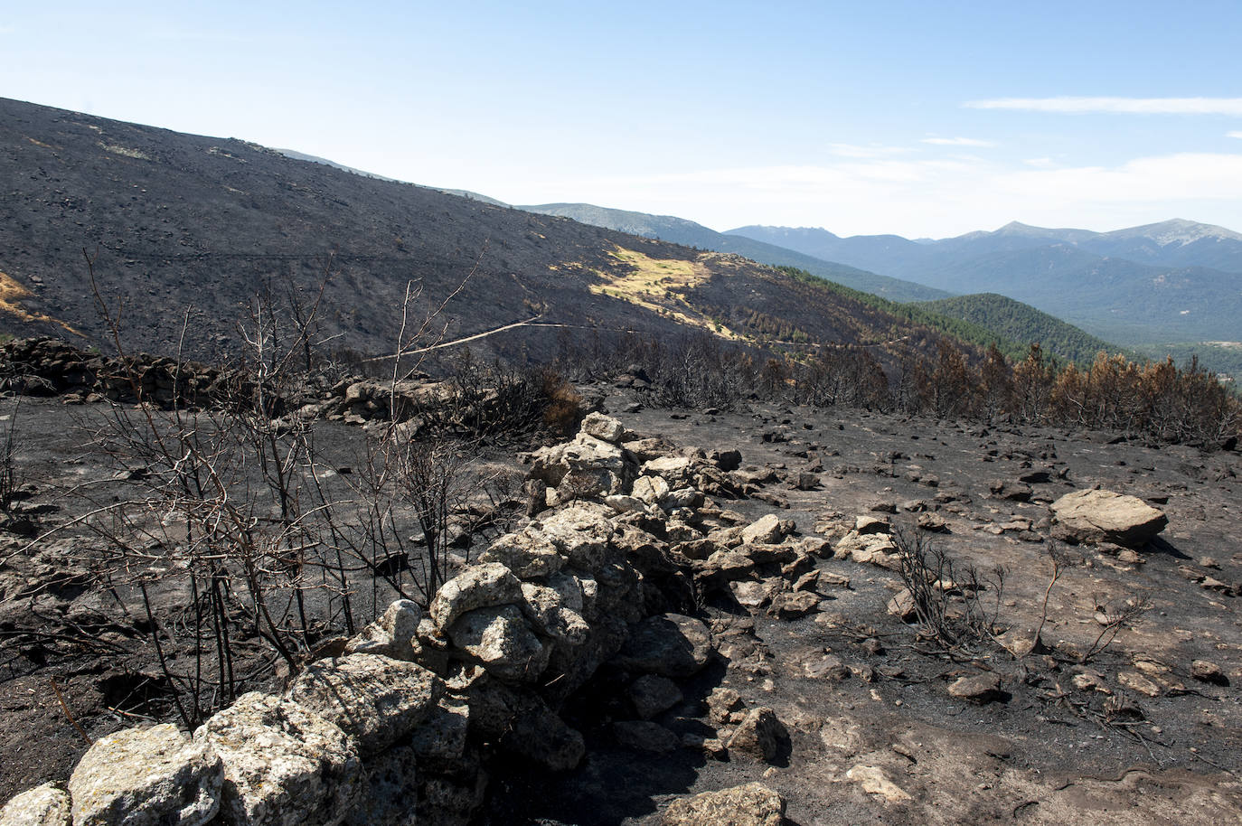 Recorrido por la devastación natural de una parte de la sierra de Guadarrama que ha quedado arrasada por las llamas del incendio que se declaró en La Granja hace nueve días