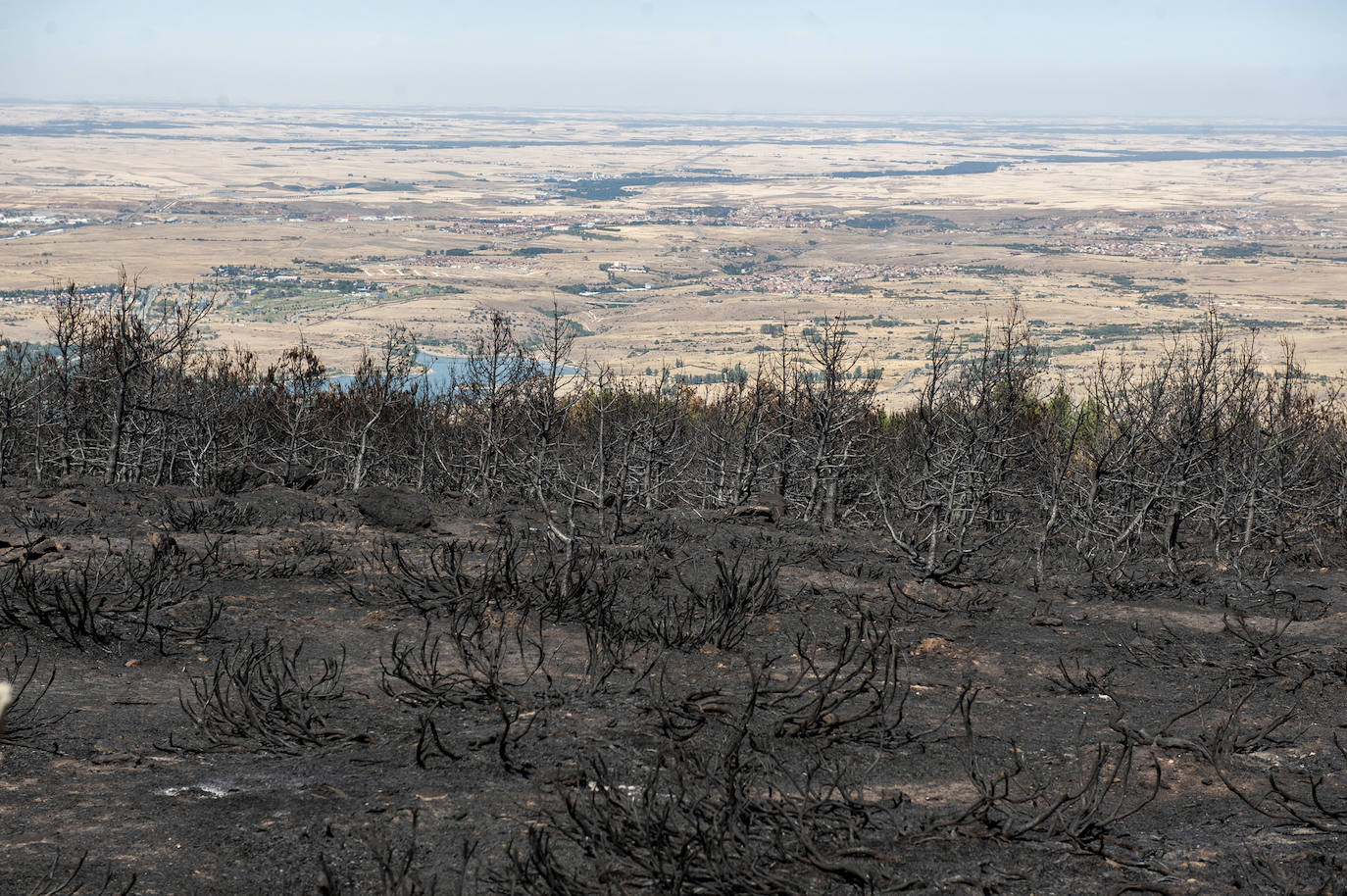 Recorrido por la devastación natural de una parte de la sierra de Guadarrama que ha quedado arrasada por las llamas del incendio que se declaró en La Granja hace nueve días