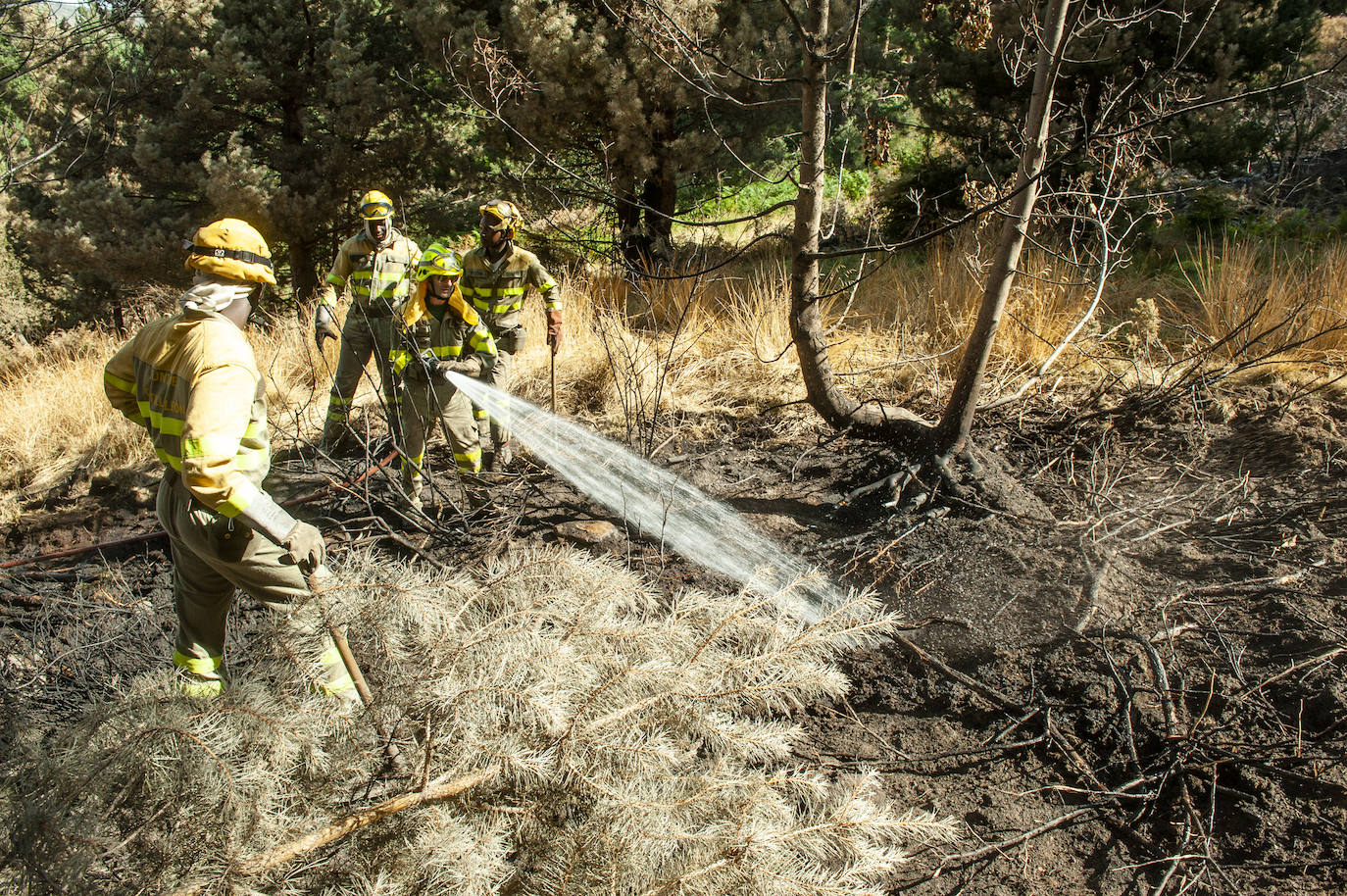 Los datos provisionales señalan que el fuego declarado hace nueve días en La Granja ha destruido unas 370 hectáreas,el 80% en terrenos particulares. Una buena parte de la superficie arrasada está dentro del Parque Nacional Sierra de Guadarrama 