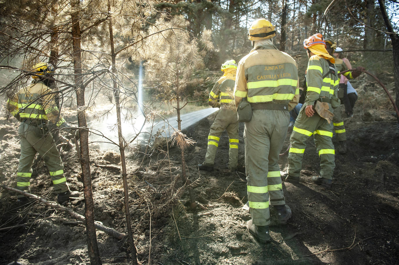 Los datos provisionales señalan que el fuego declarado hace nueve días en La Granja ha destruido unas 370 hectáreas,el 80% en terrenos particulares. Una buena parte de la superficie arrasada está dentro del Parque Nacional Sierra de Guadarrama 