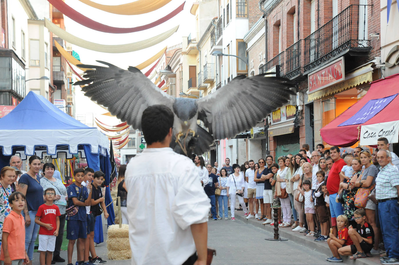 Fotos: Feria Renacentista de Medina del Campo