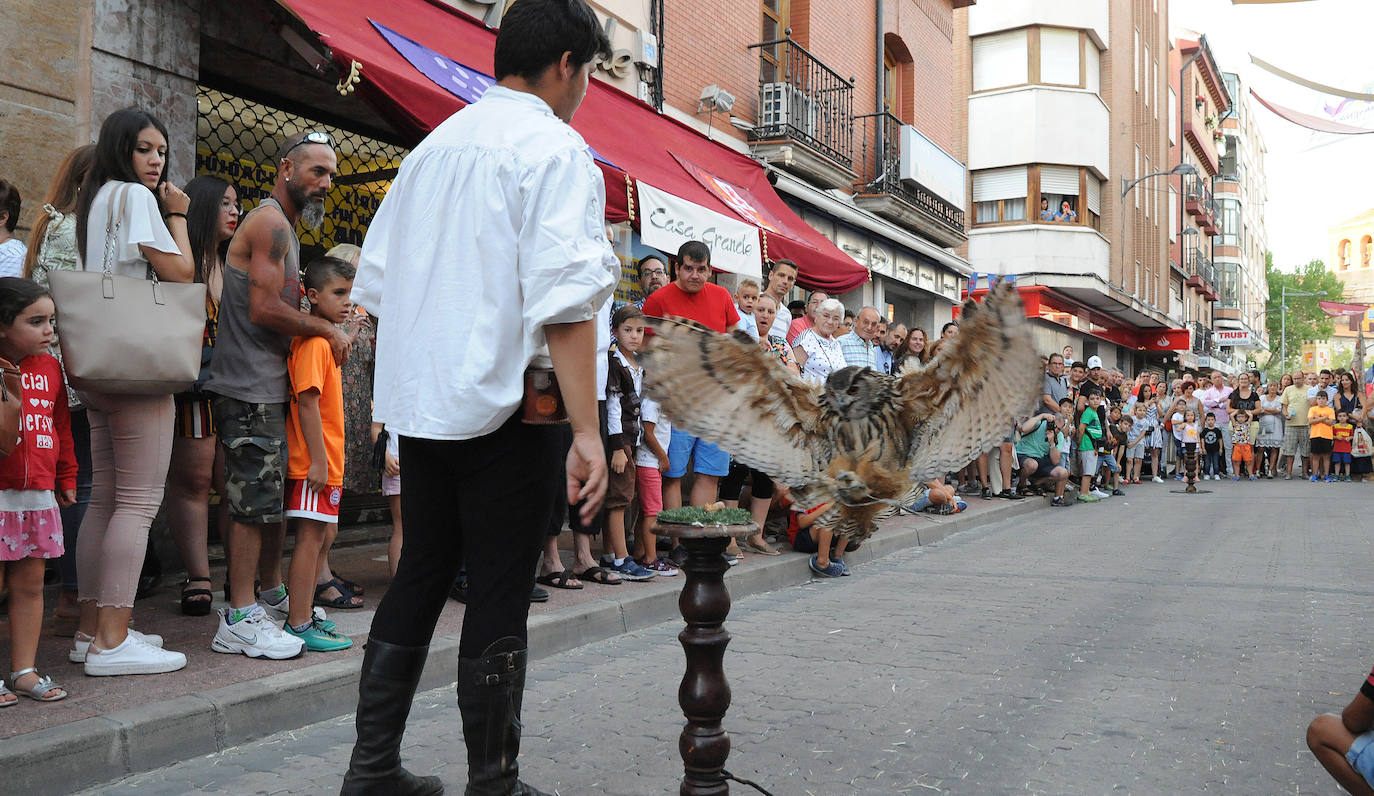 Fotos: Feria Renacentista de Medina del Campo