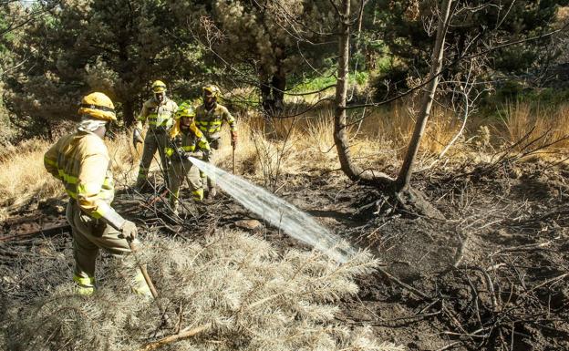 El Gobierno destina 200.000 euros para los trabajos de restauración de las zonas más afectadas por el incendio de La Granja