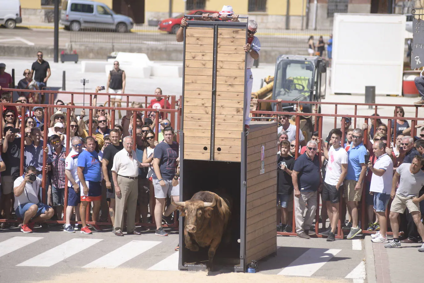 Fotos: Toro del Verdejo en Rueda