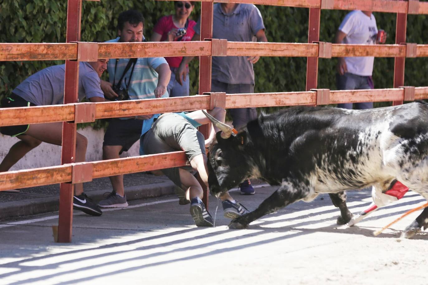 Fotos: Susto en el encierro de Viana de Cega