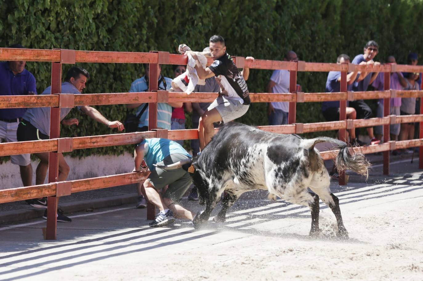 Fotos: Susto en el encierro de Viana de Cega