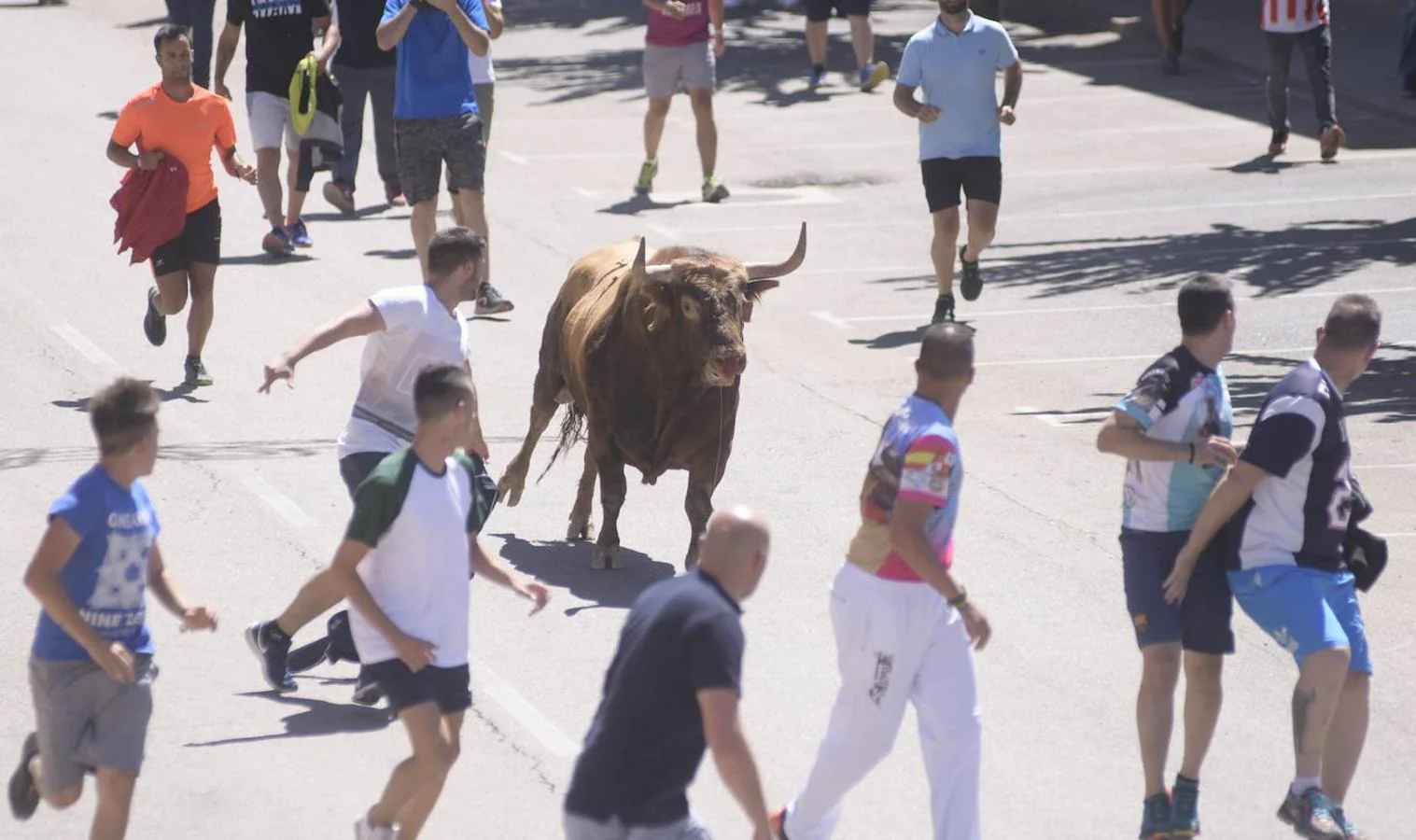 Fotos: Toro del Verdejo en Rueda