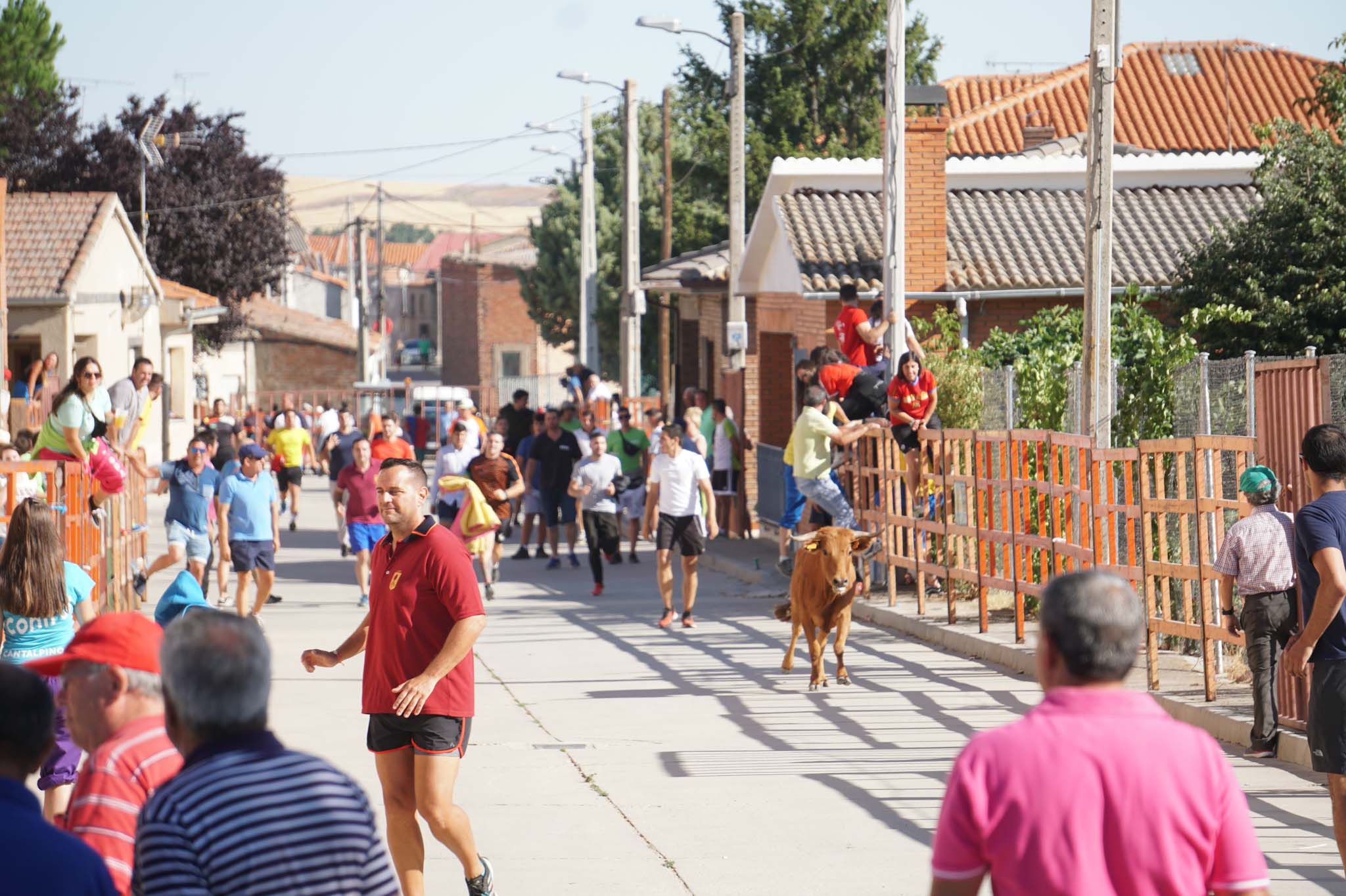 Fotos: Encierro urbano de Cantalpino