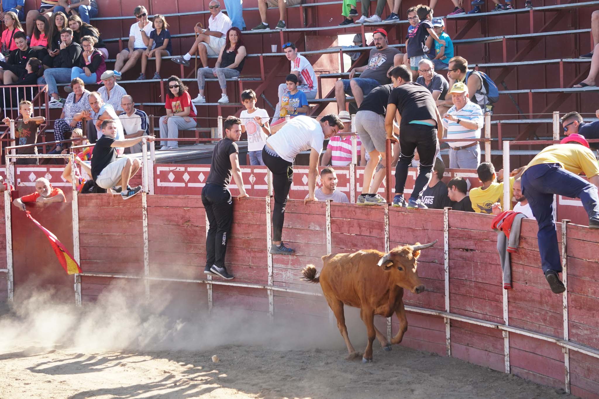 Fotos: Encierro urbano de Cantalpino