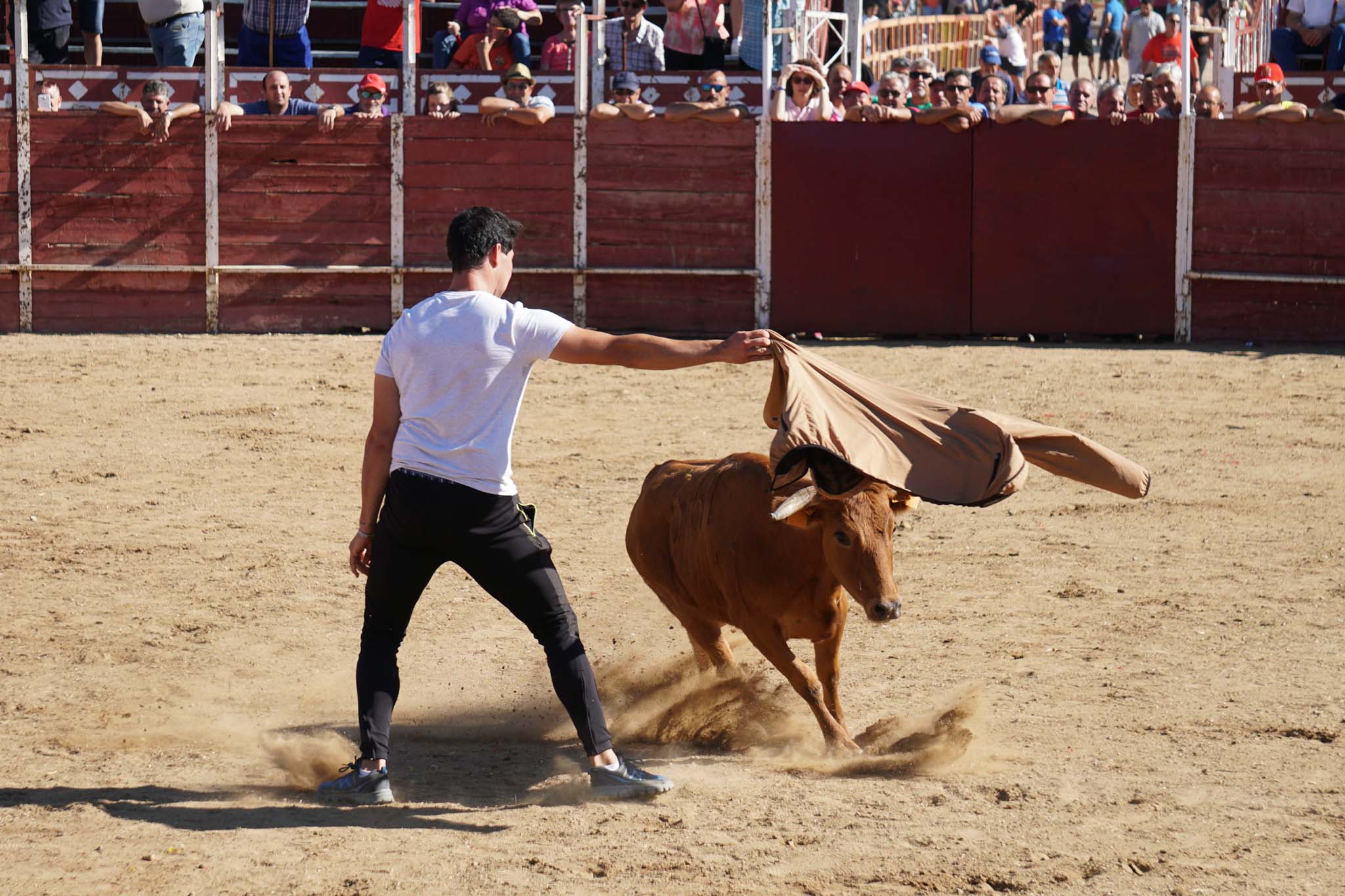 Fotos: Encierro urbano de Cantalpino