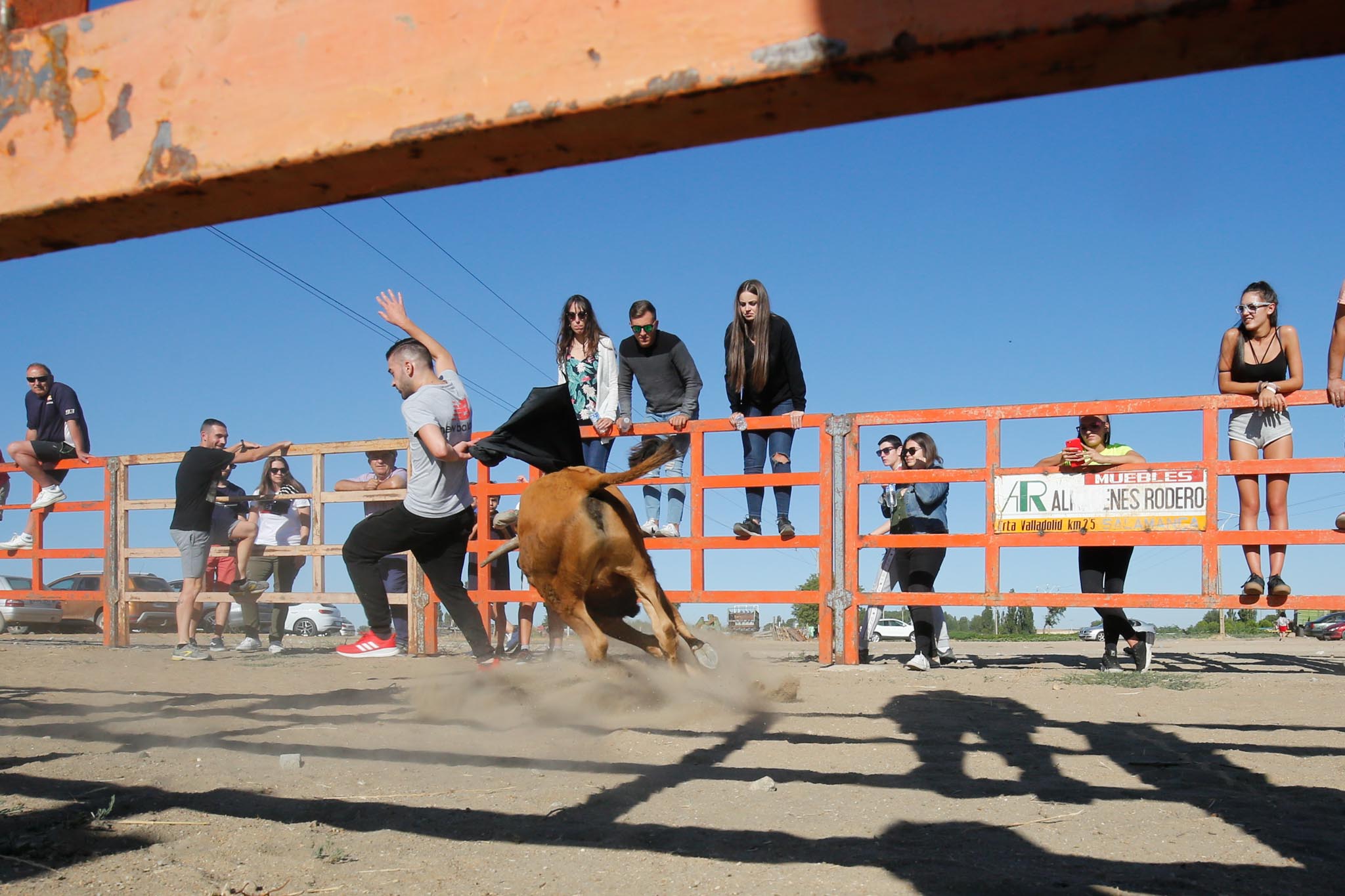 Fotos: Encierro urbano de Cantalpino