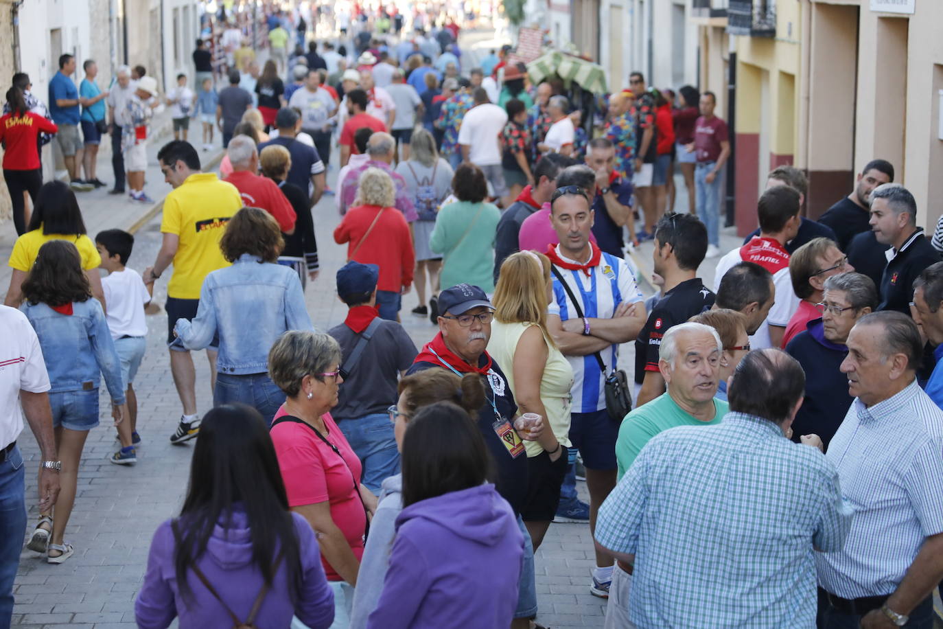 Fotos: Segundo encierro y capea matinal en Peñafiel